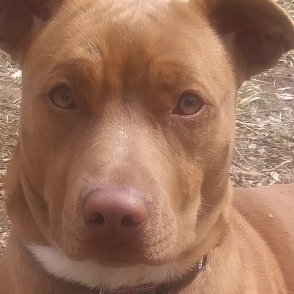 Meet your Posher, Dianna - Picture 1 of 1